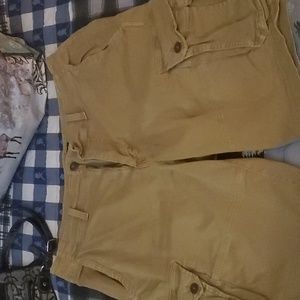 American Eagle Men's 36 Cargo Shorts